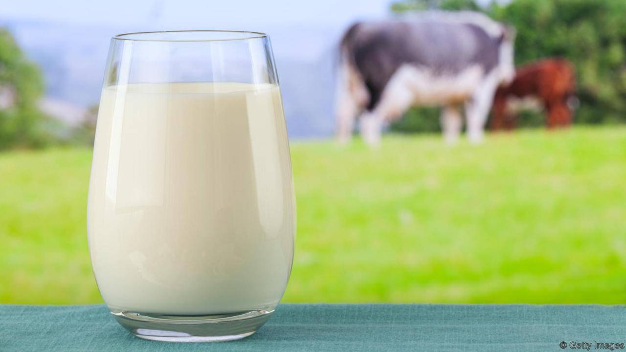Which one is the best container for milk, Glass bottles or Plastic pouches?  - Puresh Daily