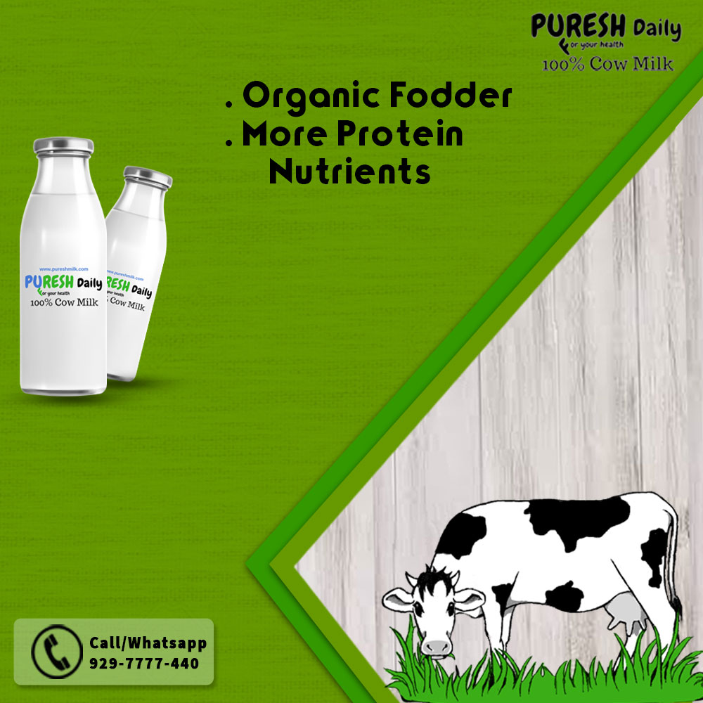 Puresh Daily - 100% Pure and Organic Cow Milk with Home Delivery