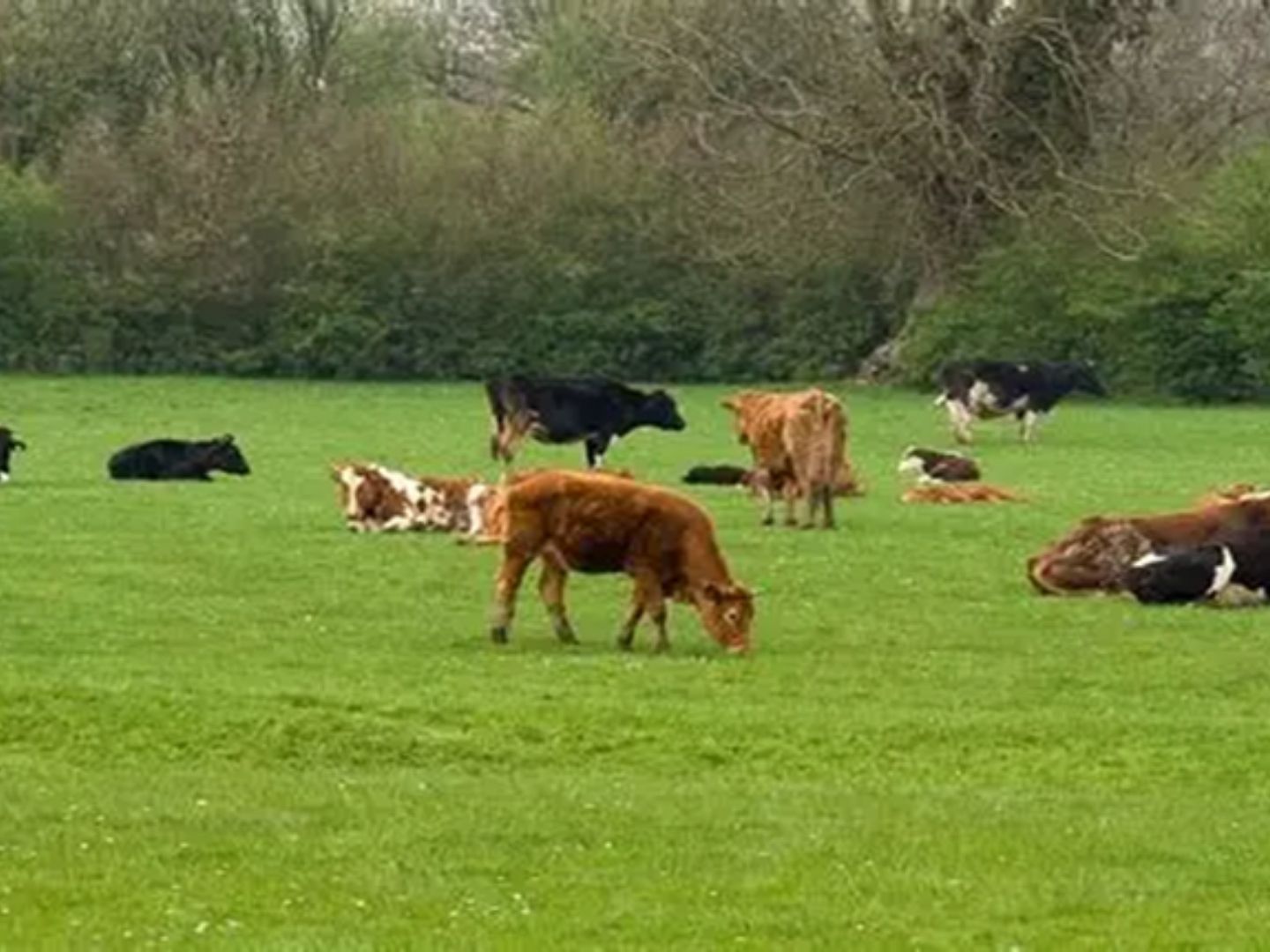 Our Farm Image